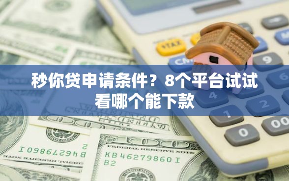 秒你贷申请条件？8个平台试试看哪个能下款