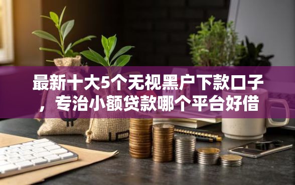 最新十大5个无视黑户下款口子，专治小额贷款哪个平台好借