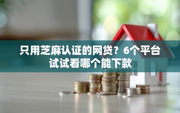 只用芝麻认证的网贷？6个平台试试看哪个能下款