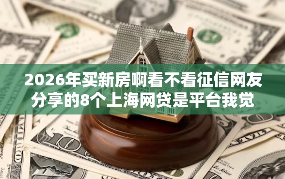 2026年买新房啊看不看征信网友分享的8个上海网贷是平台我觉得不错！