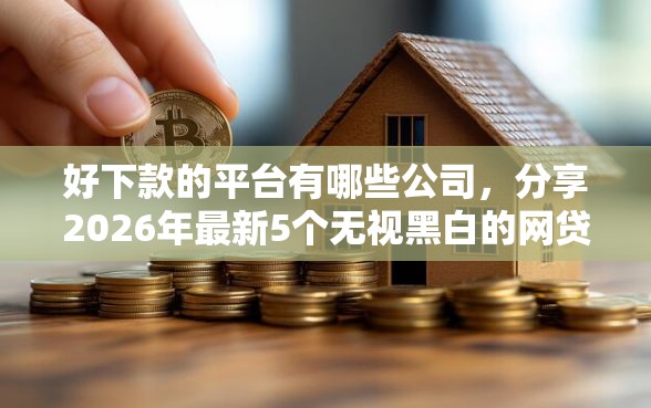 好下款的平台有哪些公司，分享2026年最新5个无视黑白的网贷软件