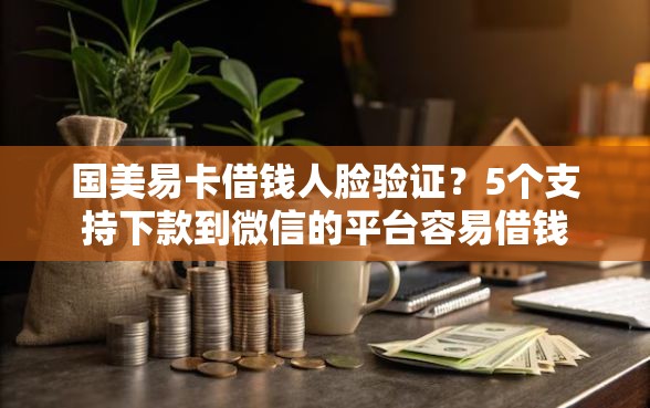 国美易卡借钱人脸验证？5个支持下款到微信的平台容易借钱