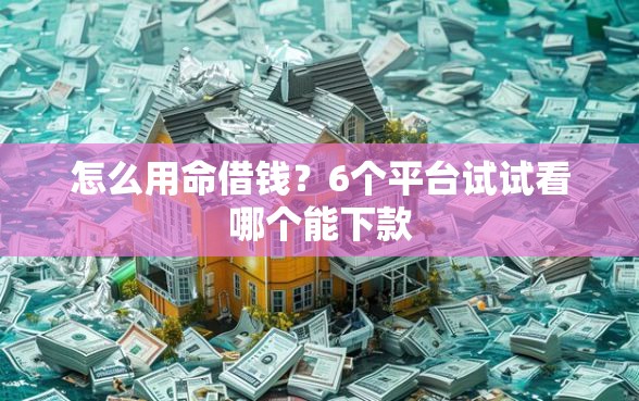 怎么用命借钱？6个平台试试看哪个能下款