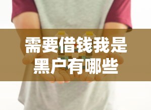 需要借钱我是黑户有哪些?分享9个无抵押贷款平台 需要借钱我是黑户有哪些?分享9个无抵押贷款平台