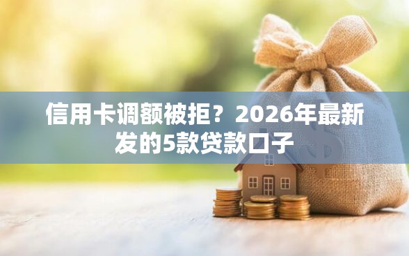 信用卡调额被拒?2026年最新发的5款贷款口子 信用卡调额被拒?2026年最新发的5款贷款口子