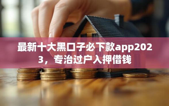 最新十大黑口子必下款app2023，专治过户入押借钱