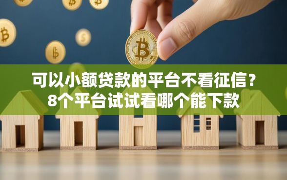 可以小额贷款的平台不看征信?8个平台试试看哪个能下款 可以小额贷款的平台不看征信?8个平台试试看哪个能下款