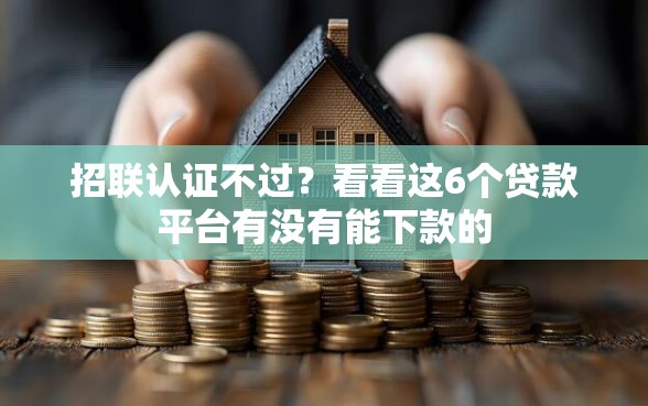 招联认证不过？看看这6个贷款平台有没有能下款的