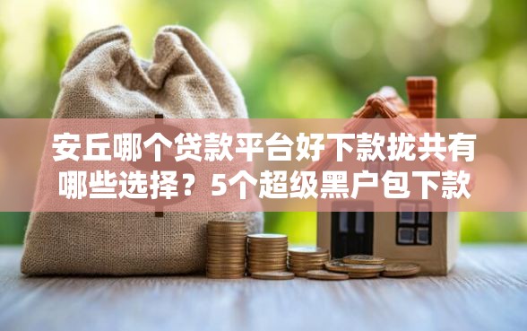 安丘哪个贷款平台好下款拢共有哪些选择？5个超级黑户包下款详解