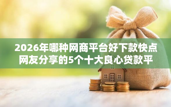2026年哪种网商平台好下款快点网友分享的5个十大良心贷款平台利息低一点我觉得不错！
