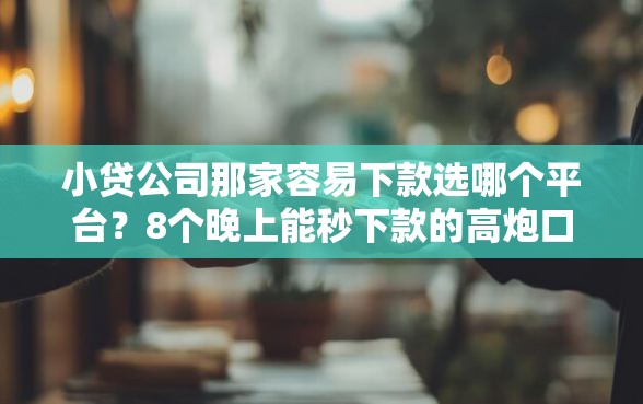 小贷公司那家容易下款选哪个平台？8个晚上能秒下款的高炮口子推荐