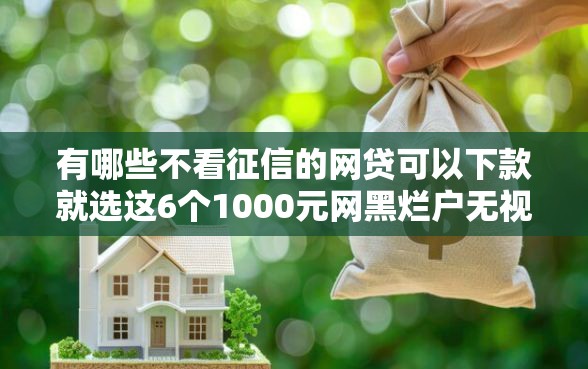 有哪些不看征信的网贷可以下款就选这6个1000元网黑烂户无视风控口子