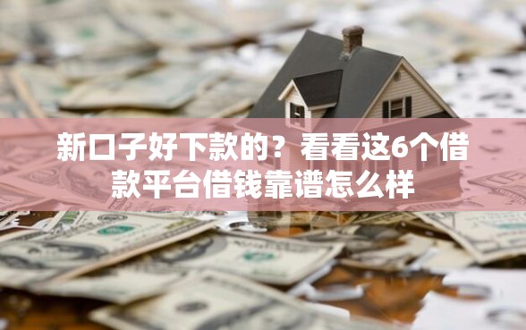 新口子好下款的？看看这6个借款平台借钱靠谱怎么样