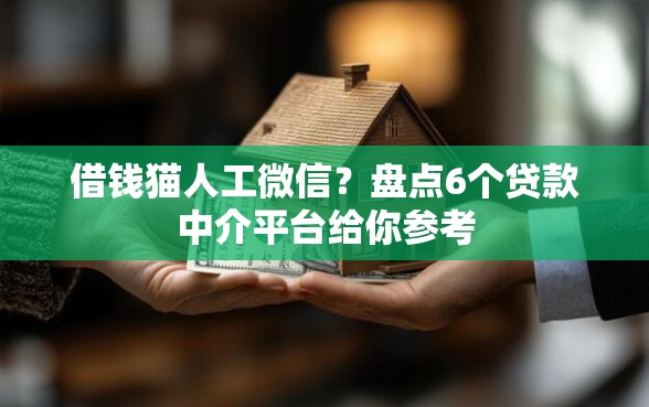 借钱猫人工微信？盘点6个贷款中介平台给你参考