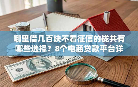 哪里借几百块不看征信的拢共有哪些选择？8个电商贷款平台详解