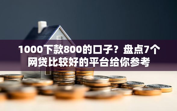1000下款800的口子？盘点7个网贷比较好的平台给你参考