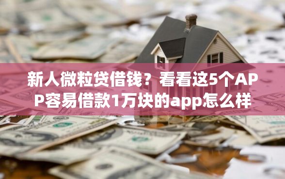 新人微粒贷借钱？看看这5个APP容易借款1万块的app怎么样