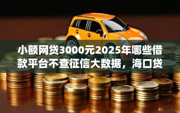 小额网贷3000元2025年哪些借款平台不查征信大数据，海口贷款公司不看征信有保障吗y的5个平台介绍