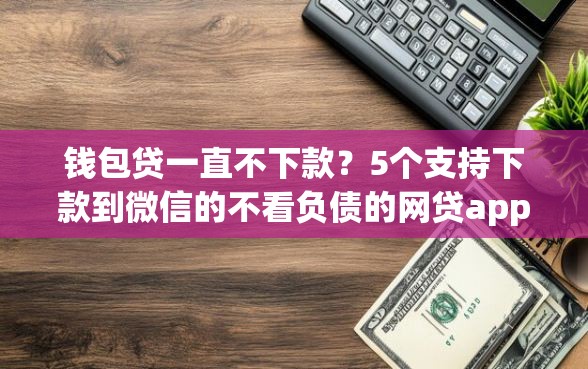 钱包贷一直不下款?5个支持下款到微信的不看负债的网贷app 钱包贷一直不下款?5个支持下款到微信的不看负债的网贷app