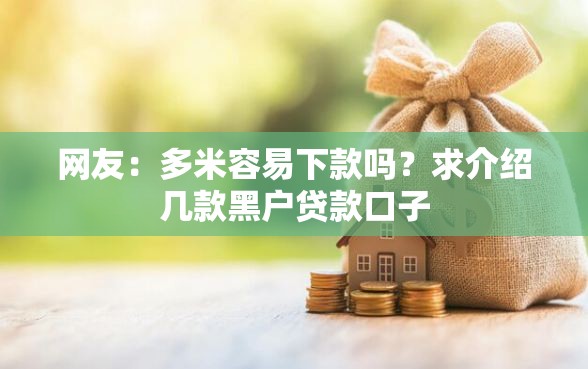 网友：多米容易下款吗？求介绍几款黑户贷款口子