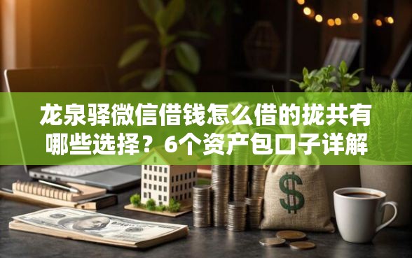 龙泉驿微信借钱怎么借的拢共有哪些选择?6个资产包口子详解 龙泉驿微信借钱怎么借的拢共有哪些选择?6个资产包口子详解