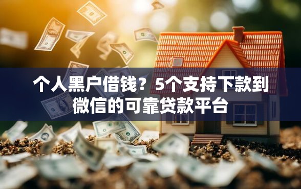 个人黑户借钱？5个支持下款到微信的可靠贷款平台