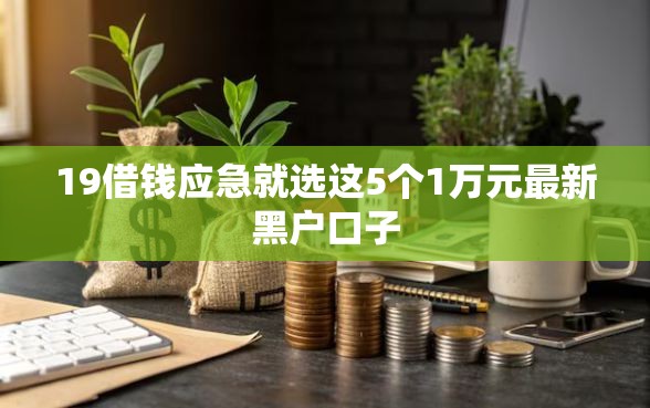 19借钱应急就选这5个1万元最新黑户口子