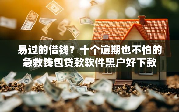 易过的借钱？十个逾期也不怕的急救钱包贷款软件黑户好下款