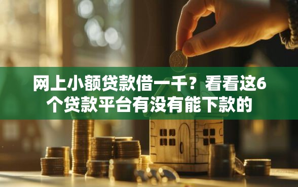 网上小额贷款借一千？看看这6个贷款平台有没有能下款的