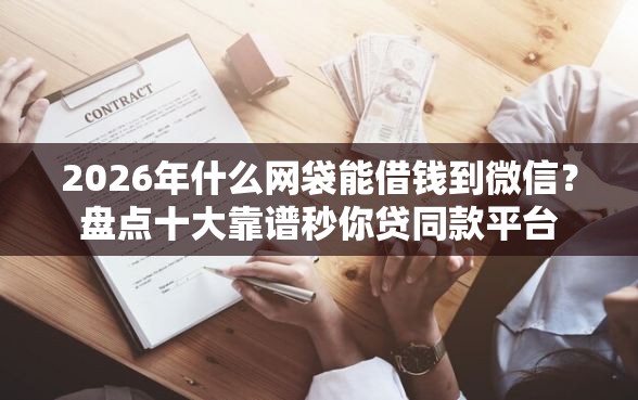 2026年什么网袋能借钱到微信？盘点十大靠谱秒你贷同款平台