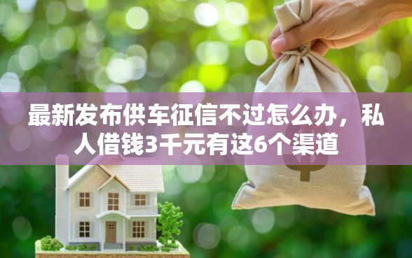 最新发布供车征信不过怎么办，私人借钱3千元有这6个渠道