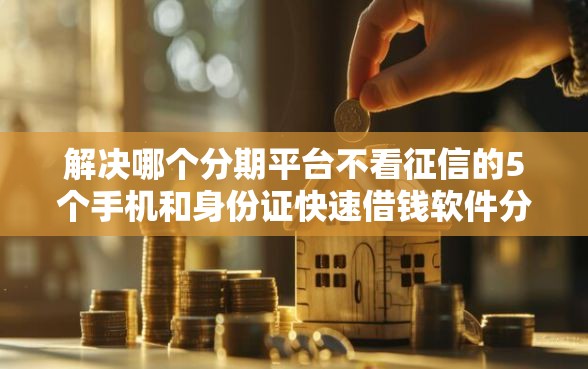 解决哪个分期平台不看征信的5个手机和身份证快速借钱软件分享