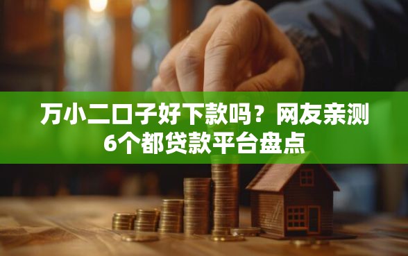 万小二口子好下款吗？网友亲测6个都贷款平台盘点