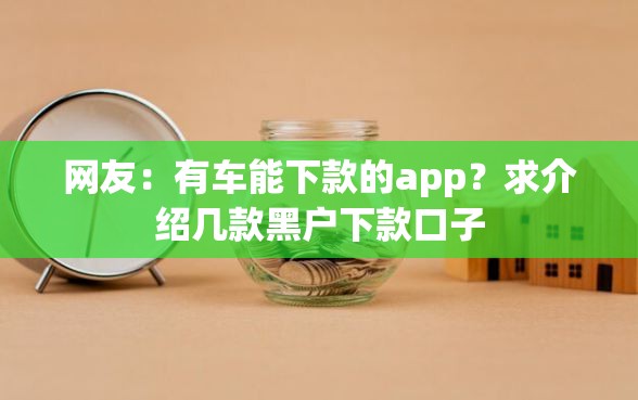 网友：有车能下款的app？求介绍几款黑户下款口子