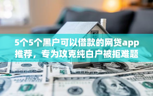 5个5个黑户可以借款的网贷app推荐，专为攻克纯白户被拒难题