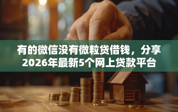 有的微信没有微粒贷借钱，分享2026年最新5个网上贷款平台