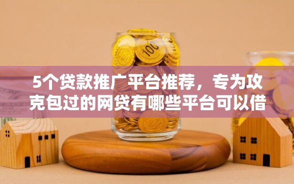 5个贷款推广平台推荐，专为攻克包过的网贷有哪些平台可以借钱难题