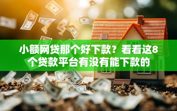 小额网贷那个好下款？看看这8个贷款平台有没有能下款的