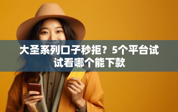 大圣系列口子秒拒？5个平台试试看哪个能下款