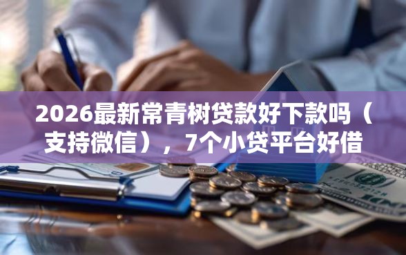 2026最新常青树贷款好下款吗（支持微信），7个小贷平台好借款无私分享
