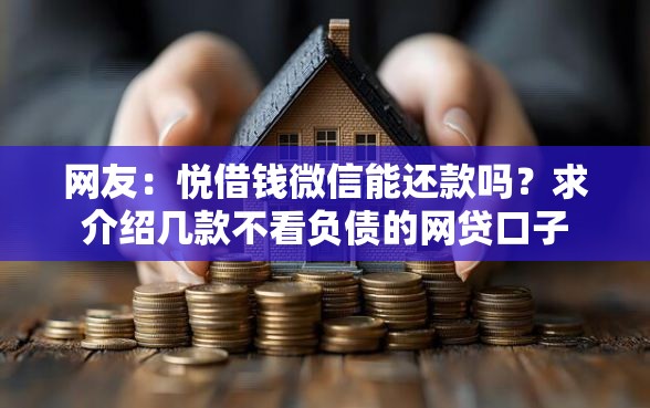 网友：悦借钱微信能还款吗？求介绍几款不看负债的网贷口子