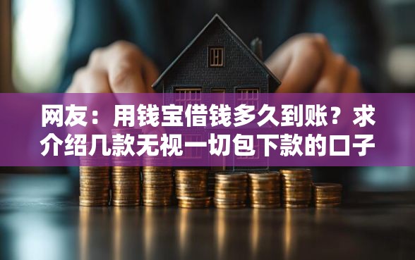网友：用钱宝借钱多久到账？求介绍几款无视一切包下款的口子