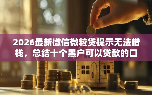 2026最新微信微粒贷提示无法借钱，总结十个黑户可以贷款的口子！