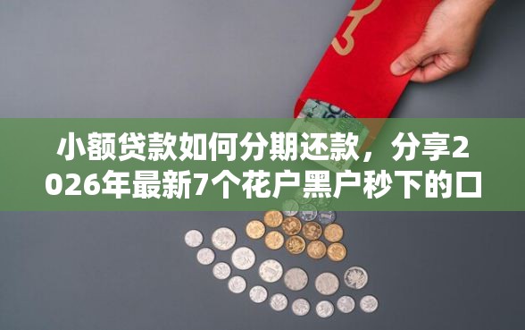 小额贷款如何分期还款，分享2026年最新7个花户黑户秒下的口子