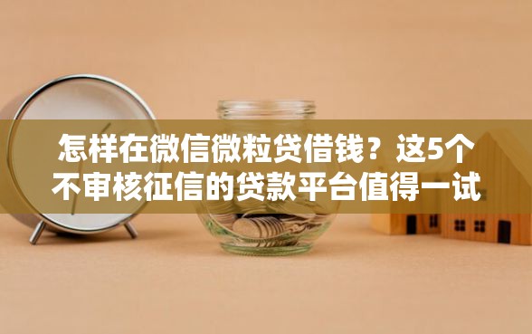 怎样在微信微粒贷借钱？这5个不审核征信的贷款平台值得一试