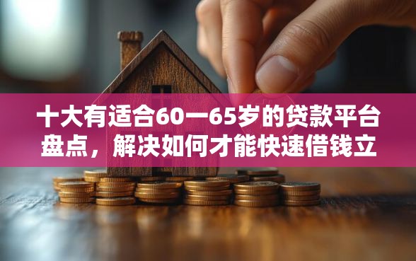 十大有适合60一65岁的贷款平台盘点，解决如何才能快速借钱立马到账的问题