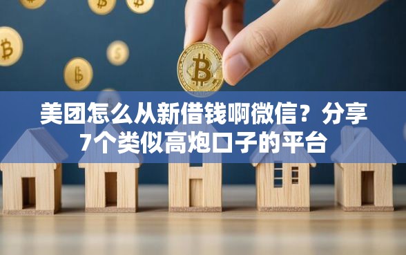 美团怎么从新借钱啊微信？分享7个类似高炮口子的平台