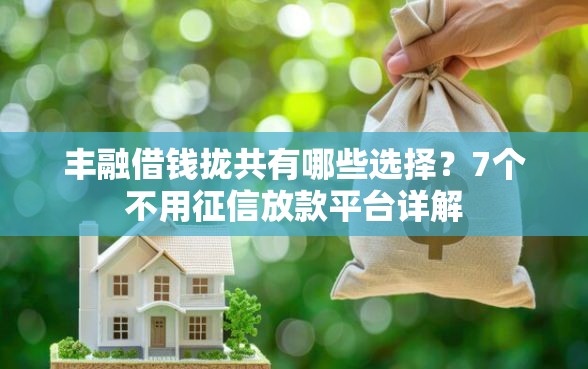 丰融借钱拢共有哪些选择？7个不用征信放款平台详解