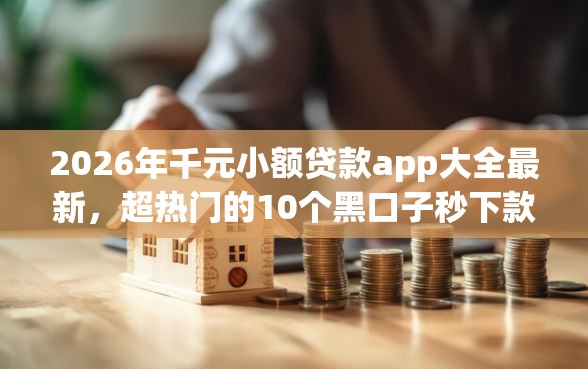 2026年千元小额贷款app大全最新，超热门的10个黑口子秒下款推荐