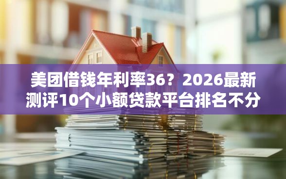 美团借钱年利率36？2026最新测评10个小额贷款平台排名不分先后